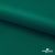 Ткань подкладочная Таффета, 19-5420, 53 г/м2, антистатик, шир. 150 см, вечнозеленый - купить в Димитровграде. Цена 57.16 руб.
