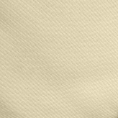 Ткань подкладочная Таффета 14-1014, антист., 53 гр/м2, шир.150см, цвет бежевый - купить в Димитровграде. Цена 62.37 руб.
