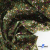 Ткань костюмная «Микровельвет велюровый принт», 220 г/м2, 97% полиэстр, 3% спандекс, ш. 150См Цв  #9 - купить в Димитровграде. Цена 439.76 руб.
