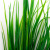 Трава искусственная -2, шт (осока 41см/8 см)				 - купить в Димитровграде. Цена: 104.57 руб.