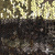 Трикотажное полотно, Сетка с пайетками, шир.130 см, #315, цв.-бронза/золото - купить в Димитровграде. Цена 693.39 руб.