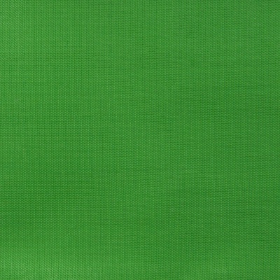 Ткань подкладочная Таффета 17-6153, 48 гр/м2, шир.150см, цвет трава - купить в Димитровграде. Цена 54.64 руб.