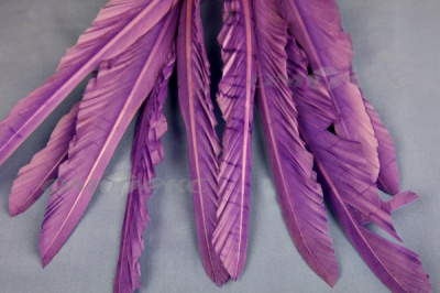 Декоративный Пучок из перьев, перо 25см/фиолетовый - купить в Димитровграде. Цена: 12.19 руб.