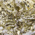 Трикотажное полотно, Сетка с пайетками, шир.130 см, #315, цв.-белый/золото - купить в Димитровграде. Цена 693.39 руб.