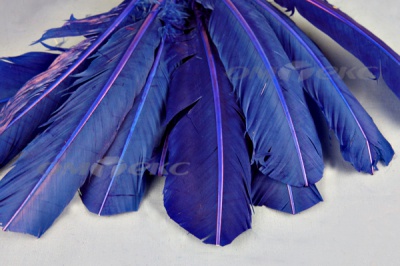 Декоративный Пучок из перьев, перо 23см/синий - купить в Димитровграде. Цена: 12.34 руб.