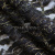 Кружевное полотно XD LACE 1-4, 80 гр/м2, шир.150см, цвет чёрный - купить в Димитровграде. Цена 248.45 руб.